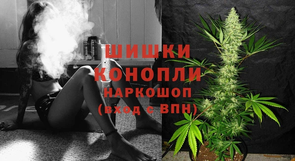 шишки Наволоки