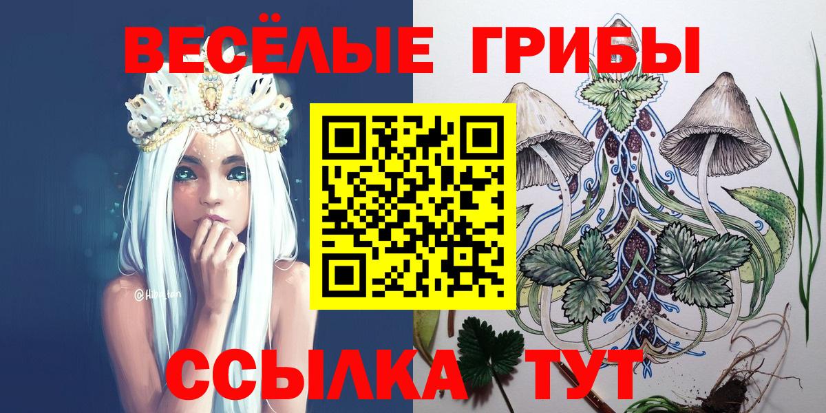 Галлюциногенные грибы прущие грибы  Вход с VPN  Крымск  Псилоцибиновые грибы Psilocybe 