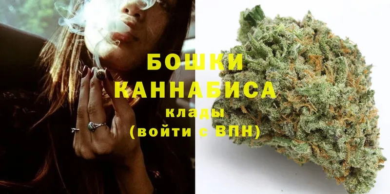 Конопля OG Kush  Крымск 